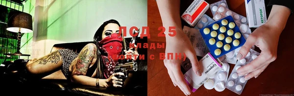 твердый Магас