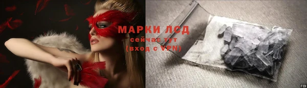 ГАЛЛЮЦИНОГЕННЫЕ ГРИБЫ Липки