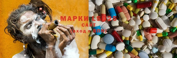 ГАЛЛЮЦИНОГЕННЫЕ ГРИБЫ Липки