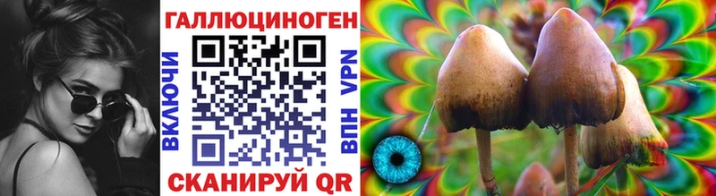 Псилоцибиновые грибы Psilocybe  Цивильск 